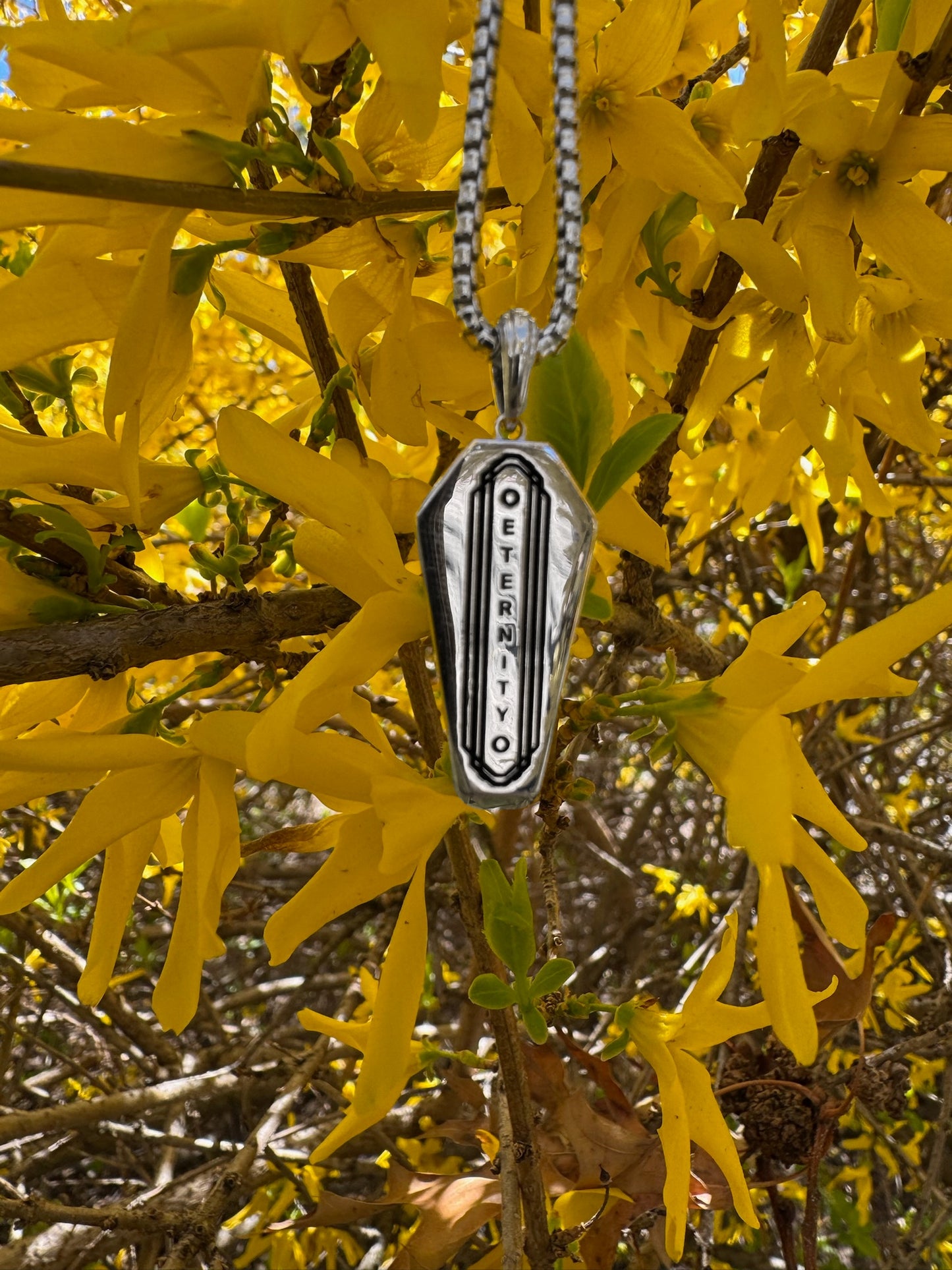 Coffin Pendant, Interview with the Vampire